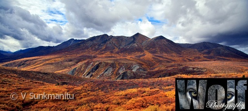 Yukon wilderness 007 Copyright Villayat Sunkmanitu.jpg